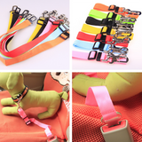 Pet Vehicle Seat Belt Leash