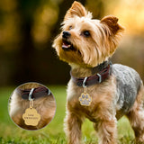 Paw Engraved Pet ID Tag With FREE Gift